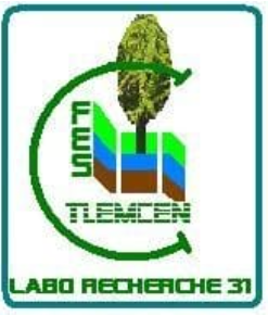 Labo Foresterie