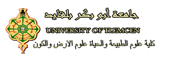 Université de Tlemcen